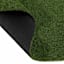 Artificial Turf, 6x9
