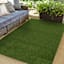 Artificial Turf, 6x9