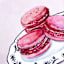 Pink Macaroons Canvas Wall Art, 12x16