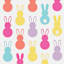 Bunny Brights Bunny Laminate Placemat