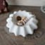 White Scallop Ceramic Trinket Tray, 6x2.2