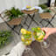 Lemon Print Acrylic Wine Glass