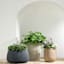 Japi Black Bios Outdoor Planter, Large