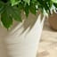 Japi Sandstone Low Linea Outdoor Planter, Medium
