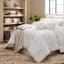 Found & Fable Taupe Micro-Plush Throw Blanket, 50x60