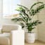 Honeybloom White Wicker Round Storage Basket, Small