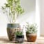 Black Lava Ceramic Outdoor Planter, Medium