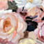 Happy Hues Peachy Peonies Canvas Wall Art, 20x30