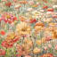 Orange Floral Canvas Wall Art, 40x20