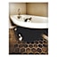 Cat in Bath Tub Canvas Wall Art, 12x16