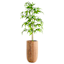 Honeybloom Hannah Tall Outdoor Planter, Extra Large