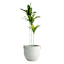 Grey Sulphur Outdoor Planter, Large