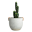 Grey Sulphur Outdoor Planter, Small