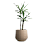 Tan Rattan Tub Outdoor Planter, Medium