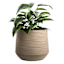 Tan Rattan Tub Outdoor Planter, Small