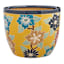 Indoor Amaryllis Planter, Large