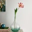 Clear Glass Vase with Aqua Bubbles, 13"