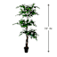 Real-Bark Fiscus Tree in Black Pot, 6.5'