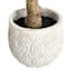 Dragon Tree in Cement Pot, 47"