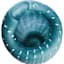 Ty Pennington Blue Coral Dot Vase, 13"