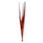Long Palms, Any Color