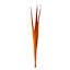 Long Palms, Any Color