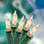 100-Count Clear String Lights with Green Wire