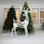 LED Iridescent 2D Buck, 6'