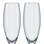 ED Living Set of 4 Champagne Flutes