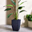 Japi All-Weather Black Modern Square Outdoor Planter, Small