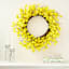 Yellow Forsythia Floral Wreath, 24"