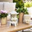 Found & Fable Indoor Buddha Cement Planter, 7"