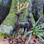 Rustic Deer with Gold Antlers, 15"