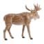 Deer, 10x9