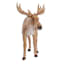 Deer, 10x9