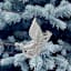 Arctic Wonderland Scrolled Sleigh Ornament, 4"
