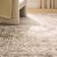 (B500) Xander Ivory & Tan Area Rug, 5x7