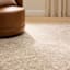 (C202) Hayne Neutral Floral Shag Area Rug, 5x7