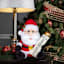 Santa Eyebrow Wiggler
