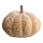 Woodgrain Pumpkin, 8.7x5.5