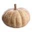 Woodgrain Pumpkin, 8.7x5.5