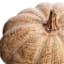 Woodgrain Pumpkin, 8.7x5.5