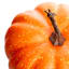 Orange Pumpkin, 6.5"
