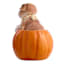 Homespun Harvest Dog Sitting in Pumpkin, 7.3"