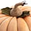 Homespun Harvest Orange Pumpkin, 19"
