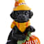 Homespun Harvest Dog with Pumpkin, 6"