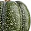 Green Speckled Pumpkin, 4"