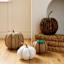 Seagrass Pumpkin, 12"