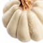 White Pumpkin, 6"