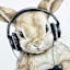 Gamber Rabbit Canvas Wall Art, 12x16